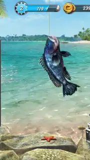 Fishing Clash capture 16