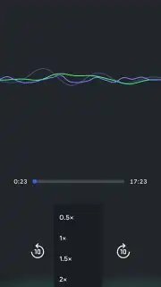 Google NotebookLM capture 17