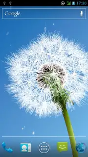 Dandelion capture 3