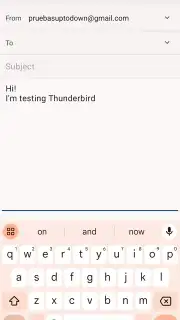 Thunderbird capture 4
