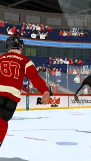 Hockey Fight Lite capture 2