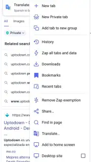 StartPage capture 5