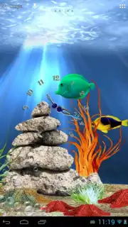 Tropical aquarium capture 3