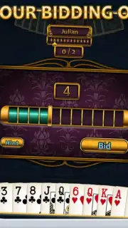 Aces Spades capture 13
