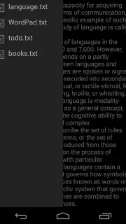 WordPad capture 3