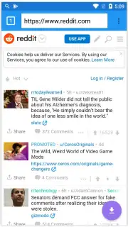 VivoBrowser capture 5