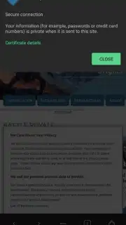 AVG Browser capture 5