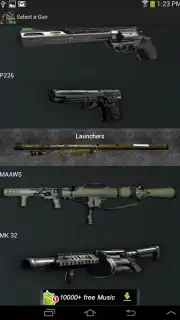 Gun Camera capture 2