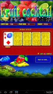Fruit Cocktail Slots capture 8
