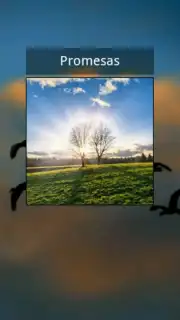 Promesas capture 9