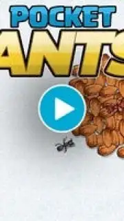 Pocket Ants capture 1