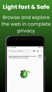 Midori Browser capture 2