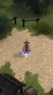Final Fantasy Crystal Chronicles capture 3