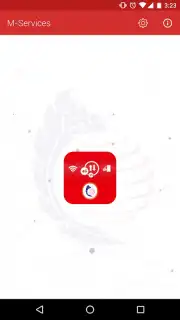 M-Services capture 8