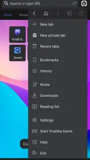 Vivaldi capture 17