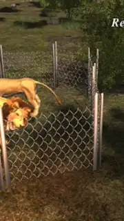 Lion 3D Attack capture 1