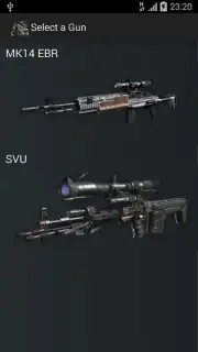 Gun Camera capture 17