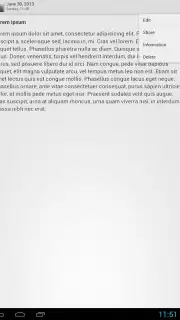 My Diary capture 3