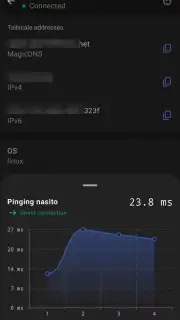 Tailscale capture 5