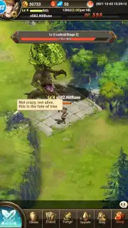 Knights of Fantasy capture 1