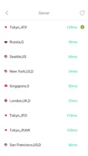 SGreen VPN capture 2