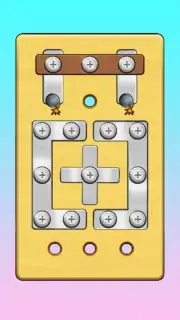Screw Master: Pin Puzzle capture 2