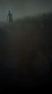 Into the Dead capture 3