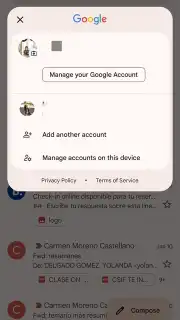 Gmail capture 4