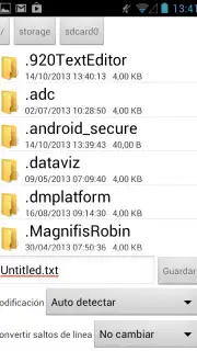 920 Text Editor capture 1