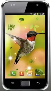 Colibri Spring 3D LWP capture 2