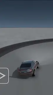 Skid Rally capture 8