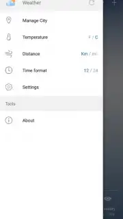 Weather Lite capture 4