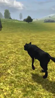 Wild Life: Wolf Clan capture 2