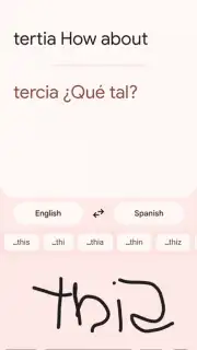 Google Translate capture 11