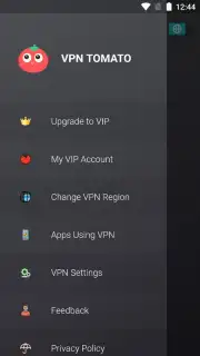 VPN Tomato capture 8