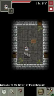ReMake Pixel Dungeon capture 11