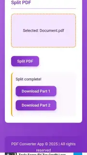 PDF Converter capture 1