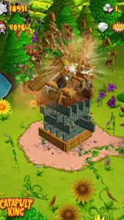 Catapult King capture 4