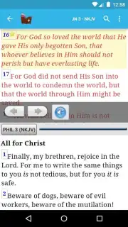 Live Bible capture 12