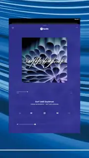 Bose Music capture 14