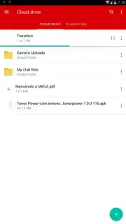 MEGA capture 7