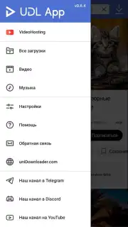 UDL App capture 7