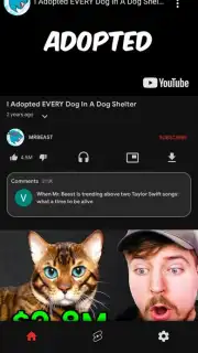 Lite You Vanced - Block Video Ads capture 2