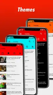 Fast Youtube Downloader capture 1