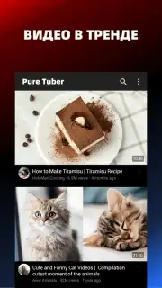 Pure Tuber capture 2