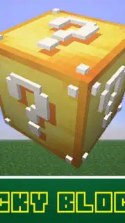Lucky Blocks capture 4