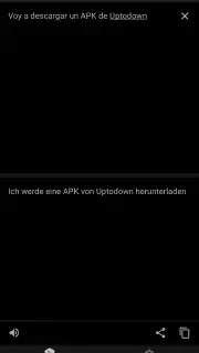 DeepL capture 1