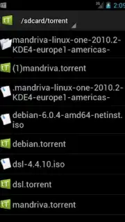 tTorrent Lite capture 5