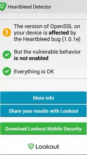 Heartbleed Security Scanner capture 2