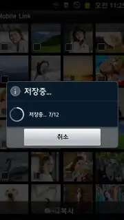 MobileLink capture 2